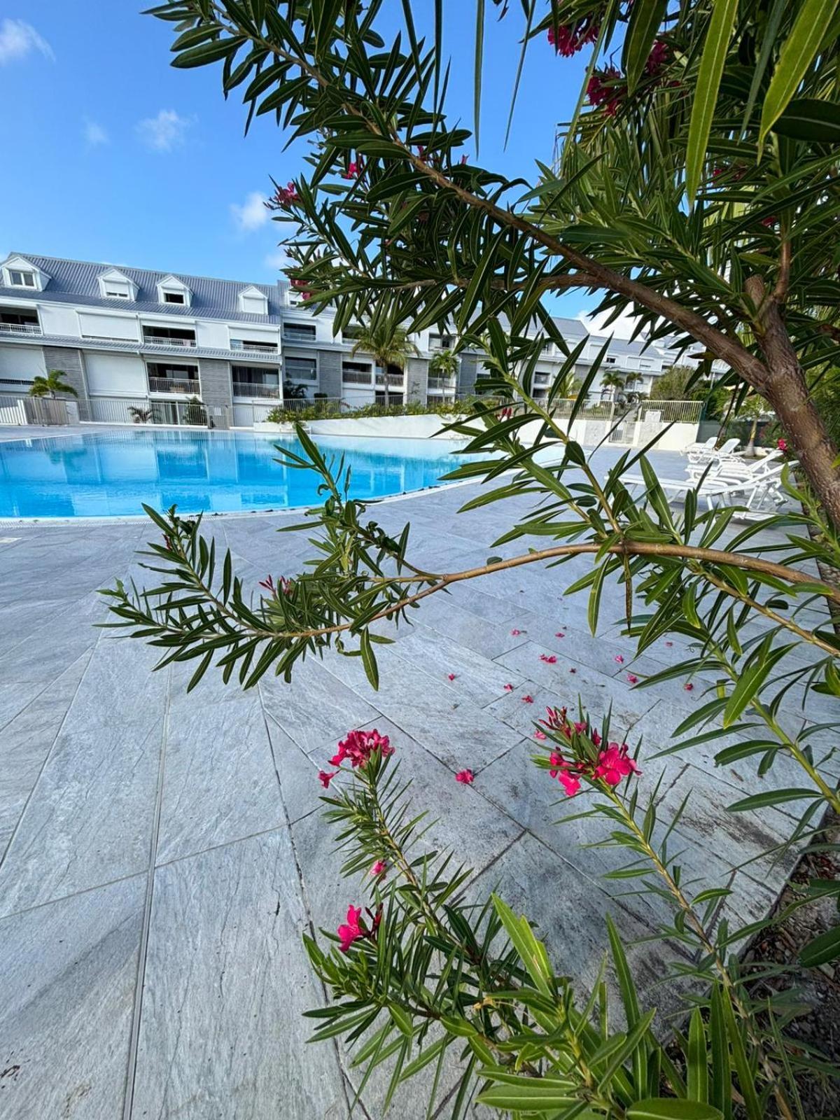 Easy Friendly Sxm Apartment Cul de Sac Luaran gambar